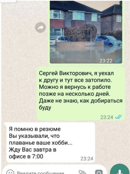 Мем, Bassplayer
