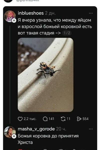 Мем, Bassplayer Мем, Bassplayer