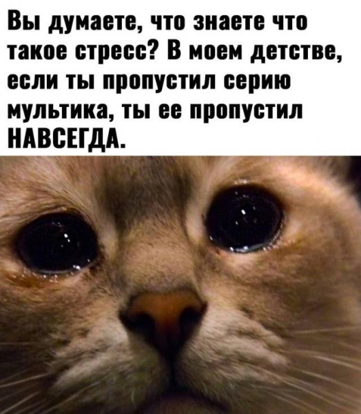 Мем: знаете, моём, её, Антиклептократ Мем: знаете, моём, её, Антиклептократ
