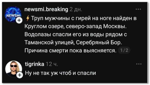Мем, Ashmedai Мем, Ashmedai