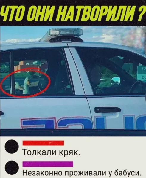 Мем, Bassplayer Мем, Bassplayer