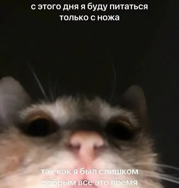 Мем, Bassplayer
