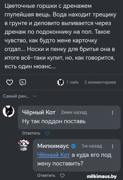 Мем, Лис Интересный