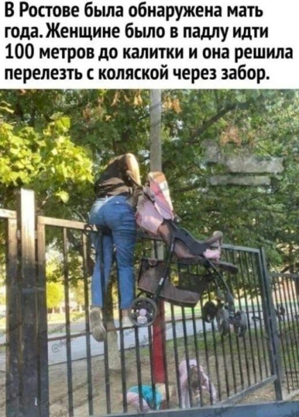 Мем: калитки,, Антиклептократ Мем: калитки,, Антиклептократ