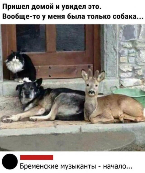 Мем: Пришёл. Вообще-то,, Антиклептократ Мем: Пришёл. Вообще-то,, Антиклептократ