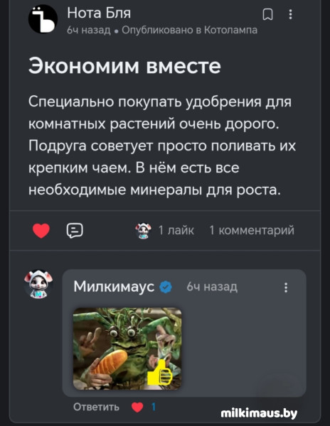 Мем, Лис Интересный