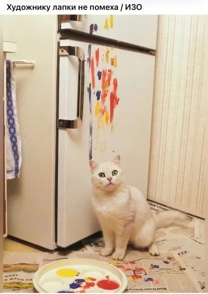 Мем, Bassplayer