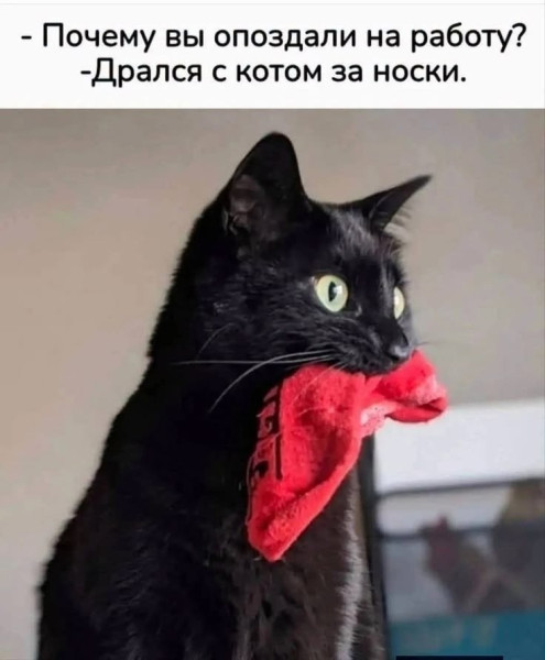 Мем, Александр Скоро Мем, Александр Скоро