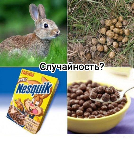 Мем, Рысь Мем, Рысь
