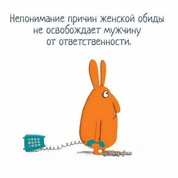 Мем, FDio Мем, FDio