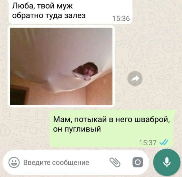 Мем, Bassplayer Мем, Bassplayer