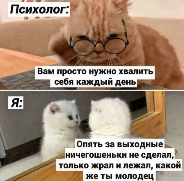 Мем, Bassplayer Мем, Bassplayer