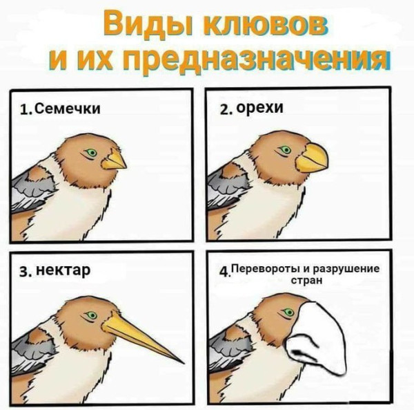 Мем, Максим Камерер Мем, Максим Камерер