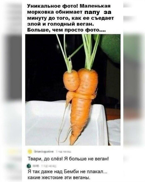 Мем: её, Антиклептократ
