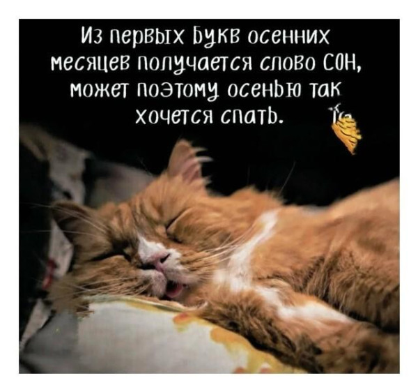 Мем: может,, Антиклептократ