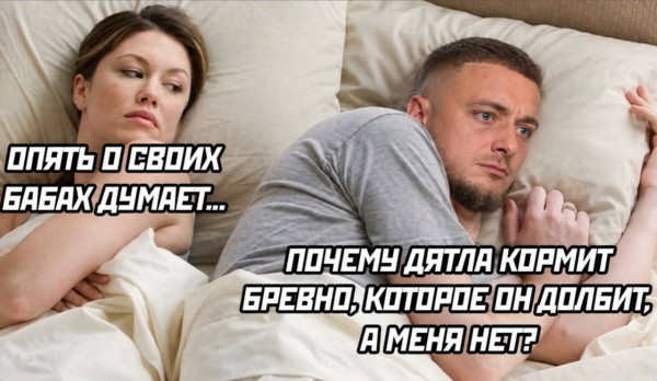 Мем, Максим Камерер