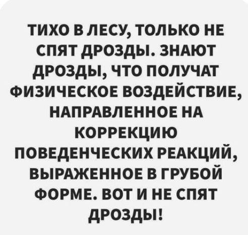 Мем, Ashmedai Мем, Ashmedai