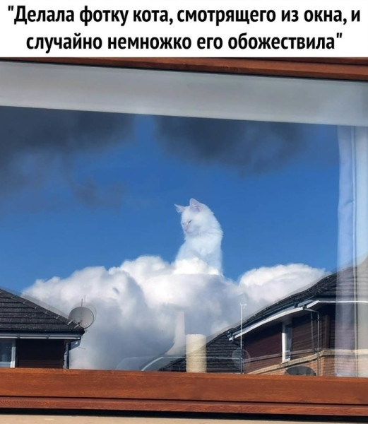 Мем, Mghost