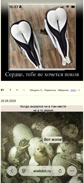 Мем: Вот жопа, Labalka Мем: Вот жопа, Labalka