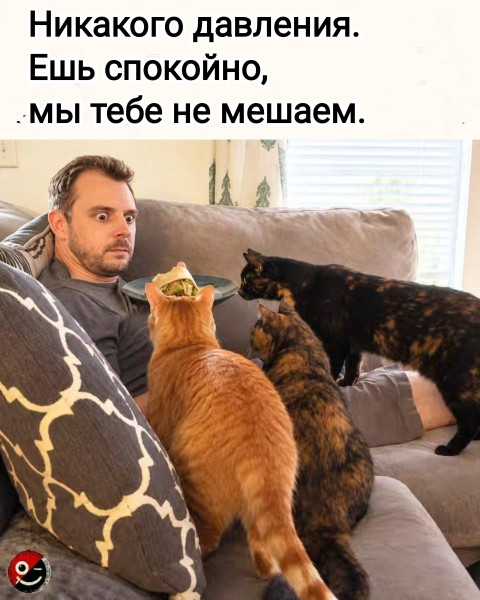 Мем, Рысь Мем, Рысь