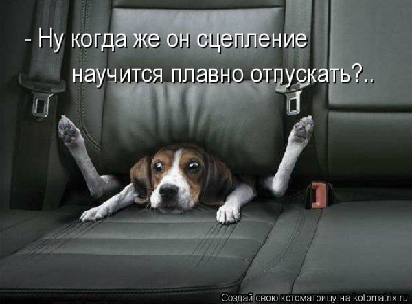 Мем Мем