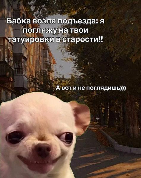 Мем, Ashmedai