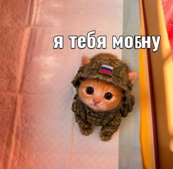 Мем, FDio Мем, FDio