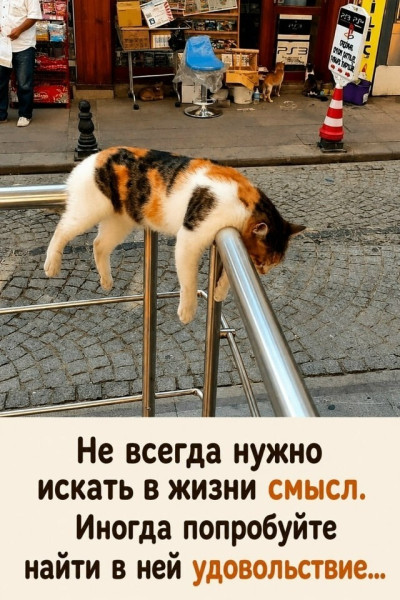 Мем