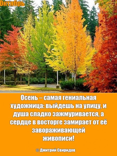 Мем: На улице, если оглянуться вокруг, воцарилось настоящее волшебство… Это же такое чудо – первая половина октября, когда ещё не очень холодно… Приветливо играет своими лучиками полусонное солнышко... Выходишь утром из дома – и попадаешь в красочную Сказку…