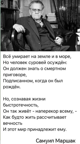 Мем, anberg
