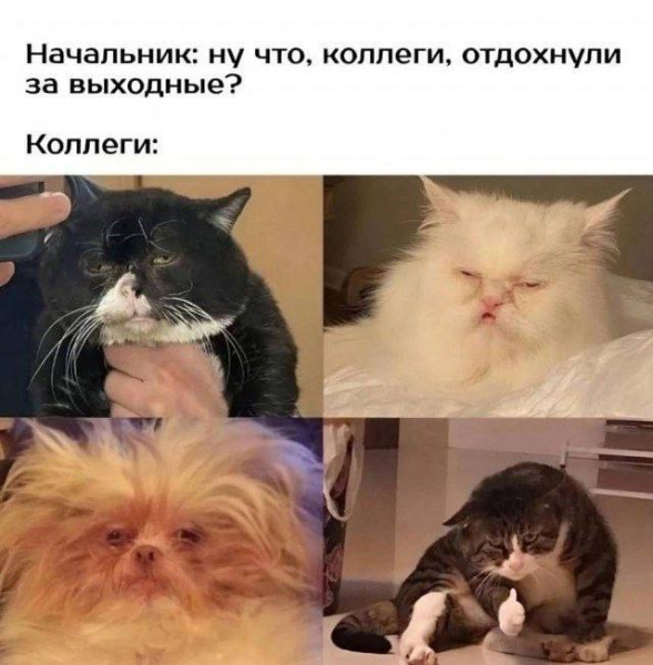 Мем, henh Мем, henh