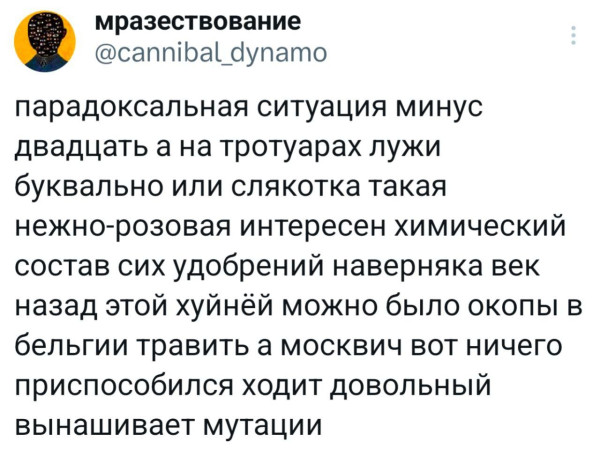 Мем, Максим Камерер