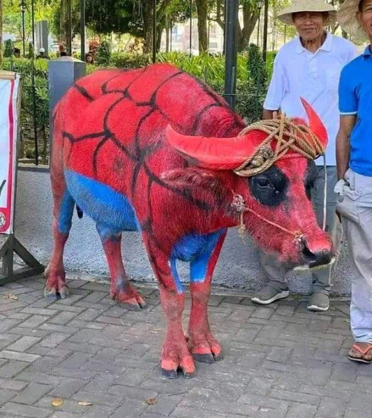 Мем: Человек-Паук в Индии это святое!, Ahmeday