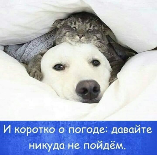 Мем: Воскресенье Мем: Воскресенье