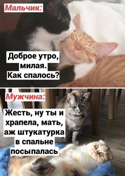 Мем: С добрым утром :), koutok