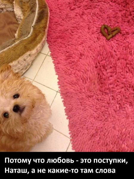 Мем, Смехалка