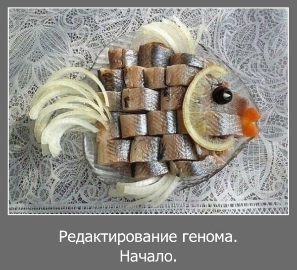 Мем, Волгоградский рыболов