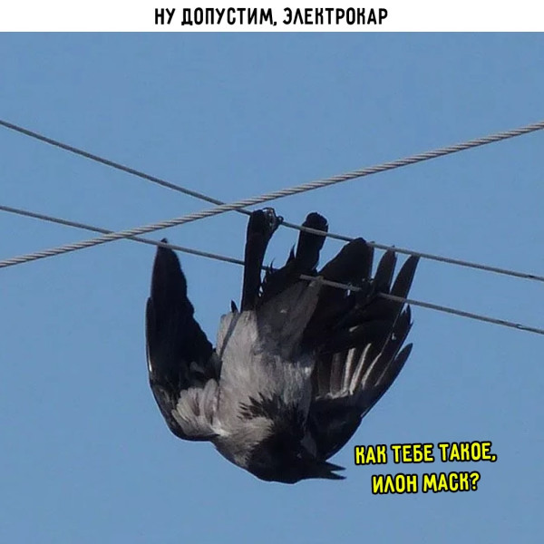 Мем, Смехалка