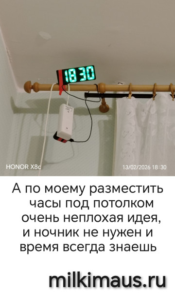 Мем, Лис Интересный