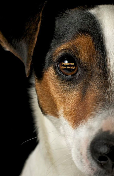 Мем, Максим Камерер Мем, Максим Камерер