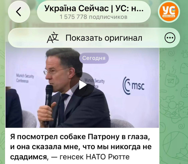 Мем: Пес его знает, Максим Камерер Мем: Пес его знает, Максим Камерер