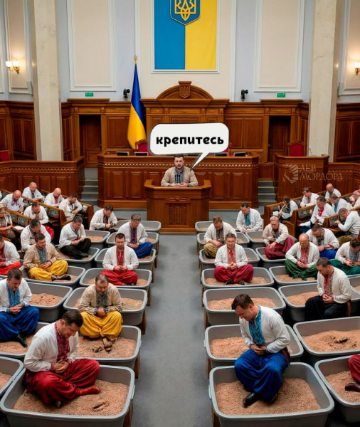 Мем, Максим Камерер