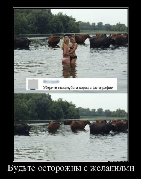 Мем, Кот Отморозкин