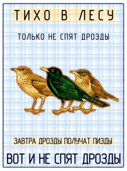 Мем, Кот Отморозкин