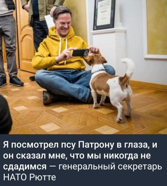 Мем: Братья по разуму Мем: Братья по разуму