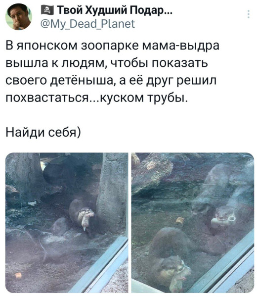 Мем, Смехалка