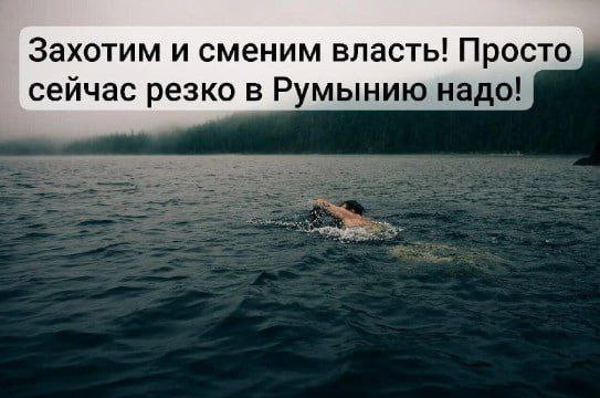 Мем, Максим Камерер