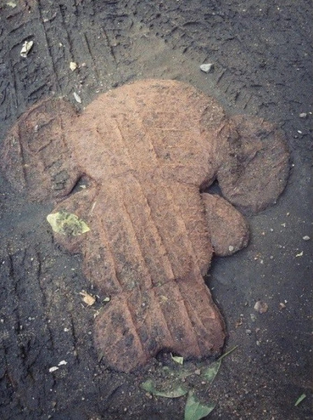 Мем: Чебуратор, Антиклептократ