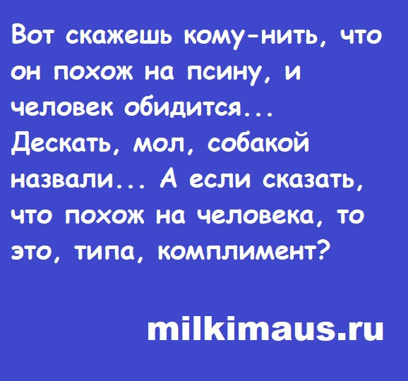 Мем, Лис Интересный