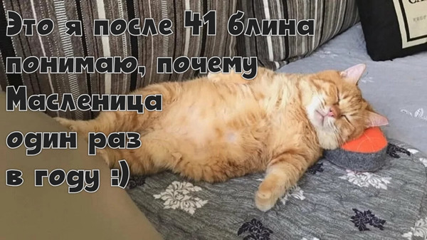 Мем: Масленица, dmitriyfilipin